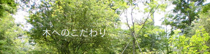 木へのこだわり 木へのこだわり